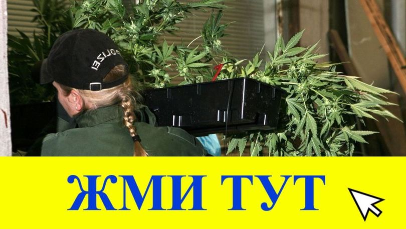 Купить наркотики в Трубчевске